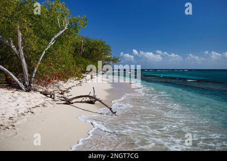 Lime Cay Kingston Jamaïque Little Island Beach Banque D'Images