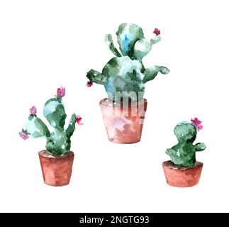 Jeu d'illustrations aquarelles. Cactus aux fleurs sur fond blanc. Plantes de maison. Banque D'Images