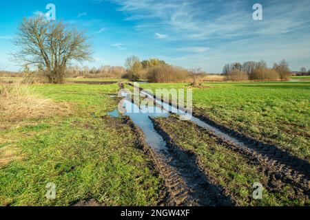 Eau sur une route rurale boueuse à travers un pré vert, Noviny, Lubelskie, est de la Pologne Banque D'Images