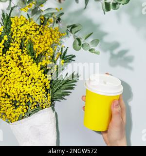 Café à emporter. Style de vie printanier avec bouquet de fleurs mimosa et main femelle tient une tasse en carton jetable avec café sur fond bleu. À emporter Banque D'Images
