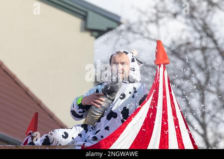 Radeburg, Allemagne. 19th févr. 2023. Un homme en costume de vache est assis sur le toit d'une remorque et vaporise un confetti avec un canon pendant le défilé de carnaval dans la petite ville saxonne de Radeburg. C'est l'un des plus grands de ce genre en Saxe. Credit: Daniel Schäfer/dpa/Alay Live News Banque D'Images