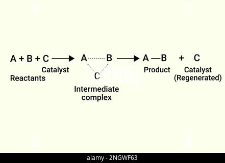 Réactions chimiques du catalyseur et du produit. Illustration de Vecteur