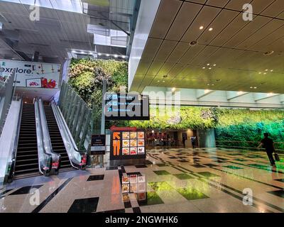 Aéroport de Changi, Singapour - 18 février 2023 - vue sur le terminal de l'aéroport avec les ascenseurs et le mur vert de l'usine Banque D'Images