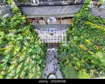 Aéroport de Changi, Singapour - 18 février 2023 - la vue de dessus des jardins verdoyants de Jewel et les visiteurs marchant autour du terminal de l'aéroport Banque D'Images