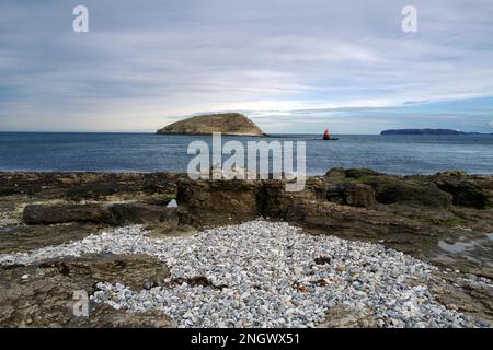 L'île Puffin (Ynys Seiriol en gallois) est située près de Penmon point, Anglesey, au nord du pays de Galles. C'est un sanctuaire d'oiseaux pour de nombreuses espèces d'oiseaux de mer. Banque D'Images