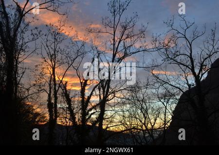 Admirez les arbres de la forêt avec un ciel nuageux à plusieurs niveaux et de nombreuses branches d'arbres sans feuilles au premier plan. Les pentes des montagnes. Banque D'Images