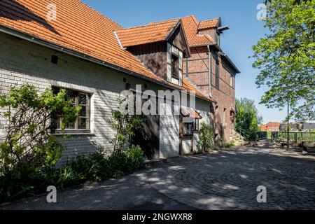 Moulin de Plagemann, moulin à eau de grain restauré avec scierie, Metelen, Muensterland, Rhénanie-du-Nord-Westphalie, Allemagne Banque D'Images