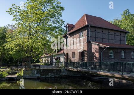 Moulin de Plagemann, moulin à eau de grain restauré avec scierie, Metelen, Muensterland, Rhénanie-du-Nord-Westphalie, Allemagne Banque D'Images