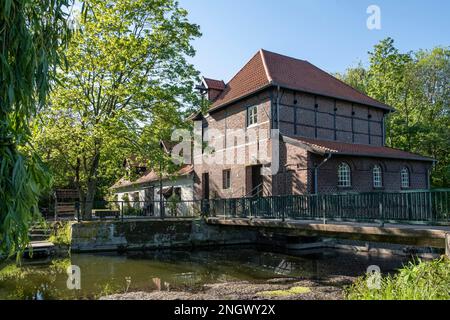 Moulin de Plagemann, moulin à eau de grain restauré avec scierie, Metelen, Muensterland, Rhénanie-du-Nord-Westphalie, Allemagne Banque D'Images