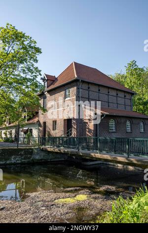 Moulin de Plagemann, moulin à eau de grain restauré avec scierie, Metelen, Muensterland, Rhénanie-du-Nord-Westphalie, Allemagne Banque D'Images