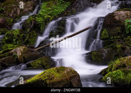 Photos de la chute d'eau Selke Valley dans les montagnes Harz Banque D'Images