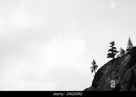 Arbres uniques sur la crête rocheuse en contre-jour, Pfosmental, Merano, Vinschgau, Tyrol du Sud, Italie Banque D'Images