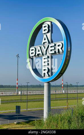 Bayer Cross à l'aéroport de Berlin Brandenburg, Willy Brandt, BER, Brandebourg, Allemagne Banque D'Images