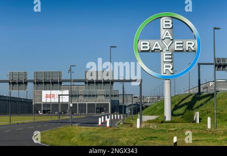 Bayer Cross à l'aéroport de Berlin Brandenburg, Willy Brandt, BER, Brandebourg, Allemagne Banque D'Images