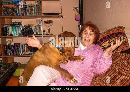 une femme âgée de 73 ans et son chien d'épagneul cocker se regardant à distance avec amour. Banque D'Images