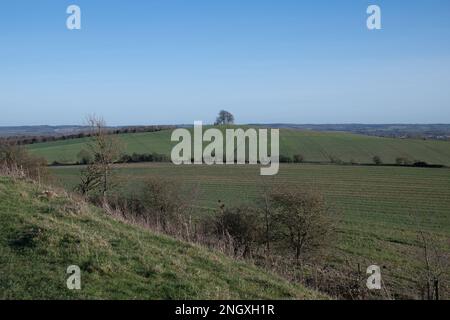 Vue sur Wittenham Clomps, Oxfordshire, sur 19 février 2023. Banque D'Images