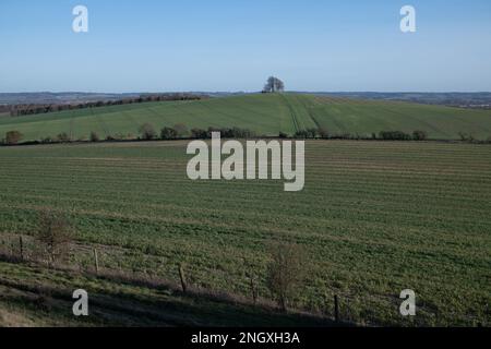 Vue sur Wittenham Clomps, Oxfordshire, sur 19 février 2023. Banque D'Images