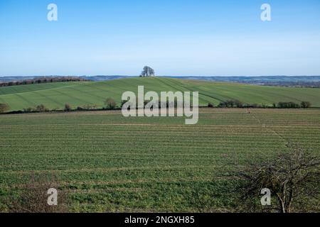 Vue sur Wittenham Clomps, Oxfordshire, sur 19 février 2023. Banque D'Images