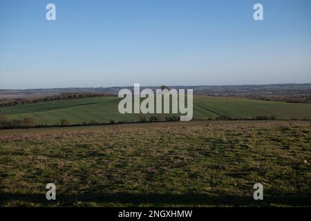 Vue sur Wittenham Clomps, Oxfordshire, sur 19 février 2023. Banque D'Images