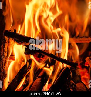 flammes et bois de chauffage brûlant et branches dans une cheminée dans un format de bannière avec flou Banque D'Images