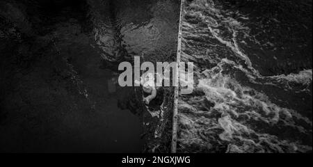 Poupée de bébé de Childs attrapée dans un barrage de captage de métal dans une rivière à écoulement rapide. Banque D'Images