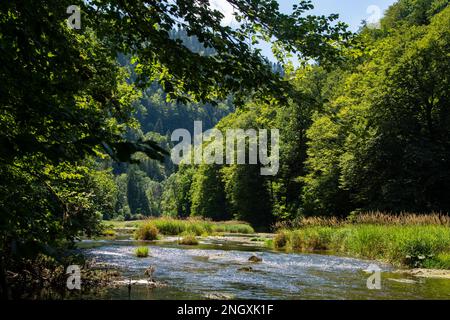 Blühende Natur am Grenzfluss Doubs Banque D'Images