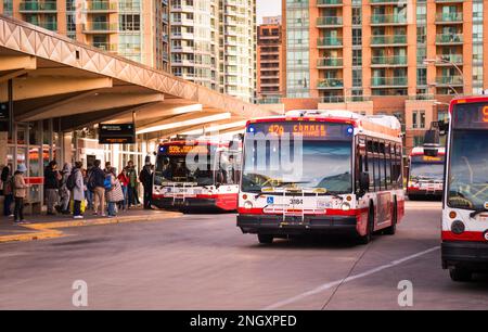 Toronto, Ontario, Canada - 10 03 2022 : autobus NOVABUS appartenant à la Commission de transport de Toronto, à la station de métro Finch. Nova bus est un canadien Banque D'Images