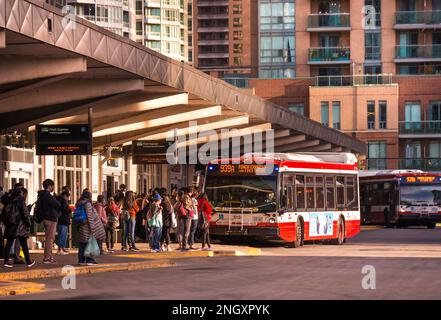 Toronto, Ontario, Canada - 10 03 2022 : passagers du terminal d'autobus de la station de métro Finch, devant l'autobus rouge NOVABUS appartenant à Toronto Transit Banque D'Images