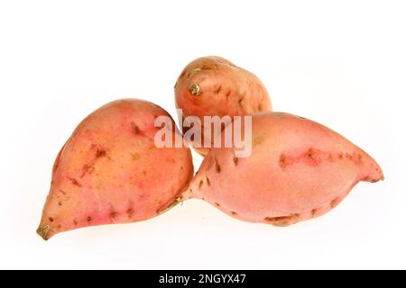 Patates douces fraîches et mûres sur fond blanc Banque D'Images