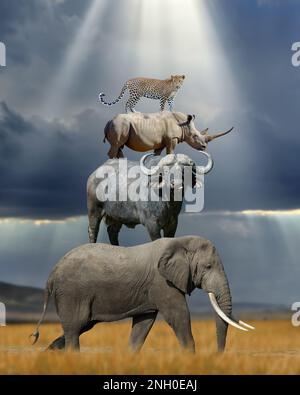 Les ours africains animaux sur les autres éléphants, buffles, rhinocéros et léopards dans la savane sur fond de rayons du soleil. Concept Banque D'Images