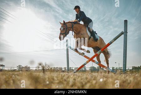 Entraînement, saut et femme sur un cheval pour un cours, un événement ou un spectacle sur un terrain en Norvège. Equestrian, saut et fille faisant un obstacle à l'équitation Banque D'Images