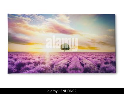 Photo imprimée sur toile, fond blanc. Magnifique champ de lavande avec un seul arbre sous un ciel incroyable au coucher du soleil. Banque D'Images