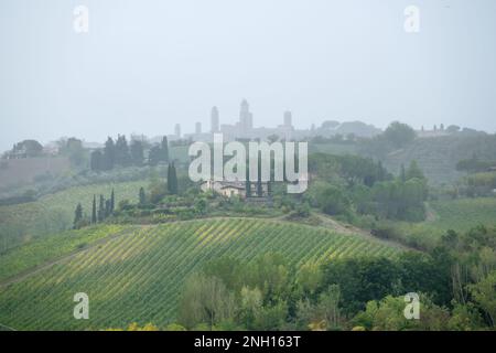 charmant paysage toscan typique de collines avec cyprès, vignoble, ferme et san gimignano dans le fond brumeux, espace copie Banque D'Images