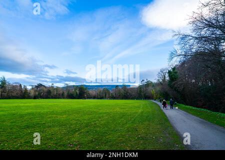 Marley Park dans le sud de Dublin Irlande au début du printemps. Banque D'Images