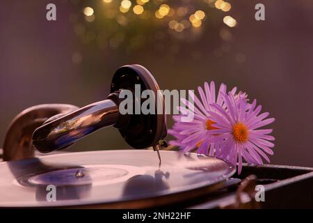 Luxueux gramophone rétro avec un disque en vinyle et un bouquet romantique de fleurs. Banque D'Images