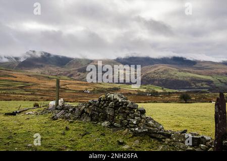 Champ de terres gallois avec mur en pierre sèche avec Nantlle Ridge dans le parc national de Snowdonia au-delà. Y fron, Caernarfon, Gwynedd, pays de Galles, Royaume-Uni, Grande-Bretagne Banque D'Images