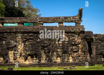 Bas relief sculptures d'éléphants avec leurs sabots bordant l'ancien mur de la terrasse de l'éléphant dans le complexe d'Angkor au Cambodge. Banque D'Images