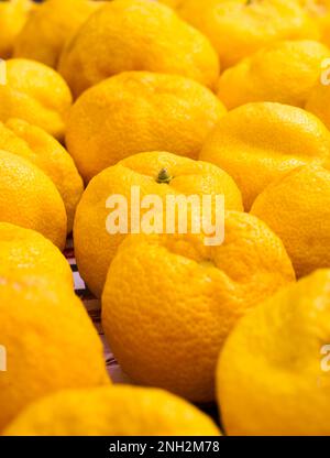 Fruits yuzu sur une table Banque D'Images