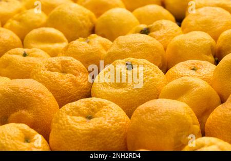 Fruits yuzu sur une table Banque D'Images