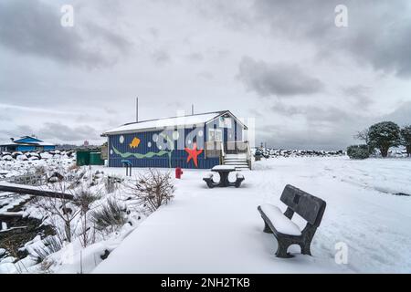 Le bleu Discovery passage Aquarium avec sa créature marine a couvert des murs et son parking couvert de neige et une table de pique-nique et un banc vides. Banque D'Images