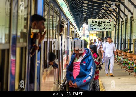 Sri Lanka, Nanu Oya station sur le chemin de fer de Kandy à Ella à travers le Sri Lankan colline pays Banque D'Images