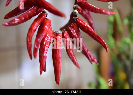 Couronne de piments calabriens Banque D'Images