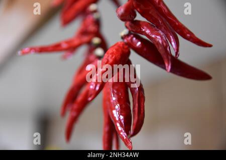 Couronne de piments calabriens Banque D'Images