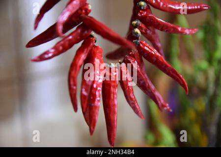 Couronne de piments calabriens Banque D'Images