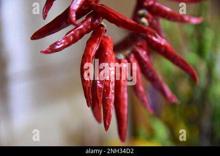 Couronne de piments calabriens Banque D'Images