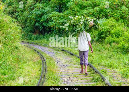 Sri Lanka, les gens de la région marchant sur les voies de la Kandy à Ella chemin de fer à travers le Sri Lankan Hill pays Banque D'Images