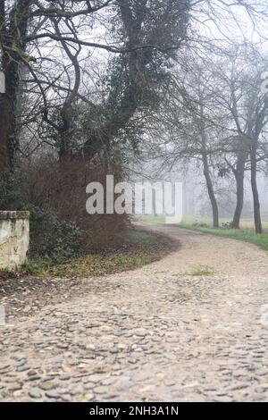 Une petite passerelle et un chemin de gravier lors d'une journée de brouillard dans un parc Banque D'Images