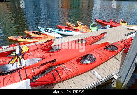 Kayaks colorés de L.L. Programme de découverte en plein air du bean, sur un quai flottant adjacent au musée des enfants de Boston et au Hood Milk Bottle Plaza. Banque D'Images