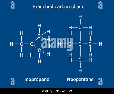 Structure chimique de la chaîne de carbone ramifiée Illustration de Vecteur