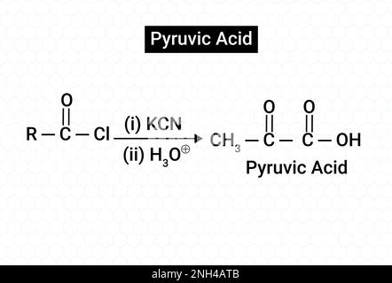 Structure chimique de l'acide pyruvique. Illustration de Vecteur